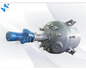 大型生产型反应釜